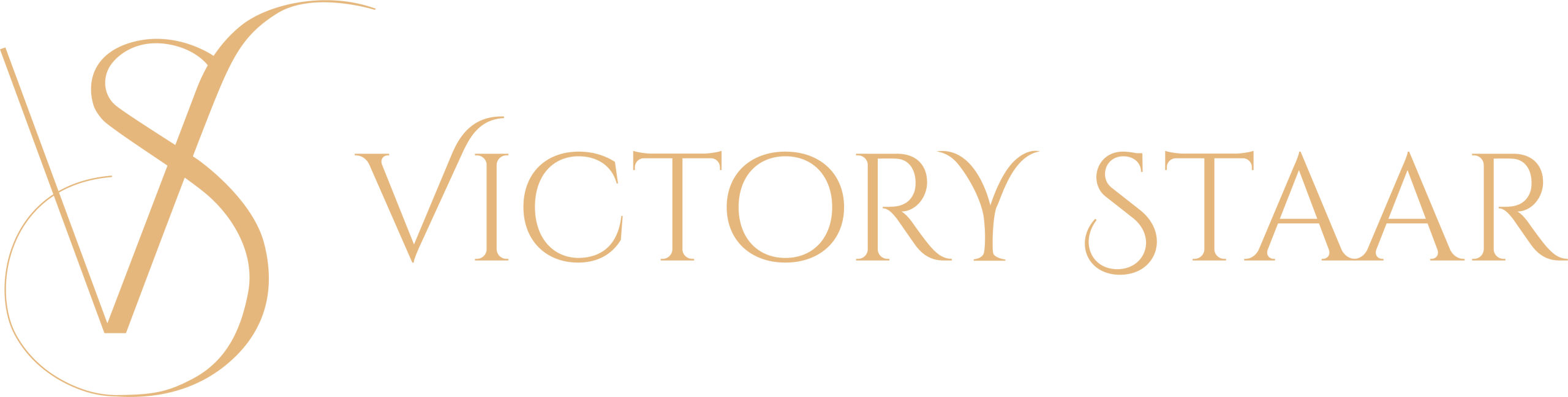 victory staat logo
